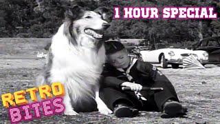 Lassie | 1 Hour Compilation | Lassie English Full Episodes  