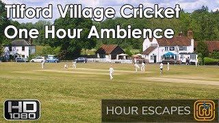 HD English Village Cricket - One Hour Ambient Sound and Video