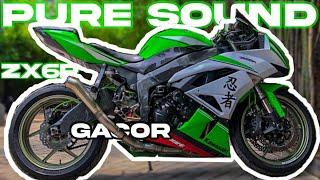 THE PURE SOUND ZX6R LAMBO MOGE 