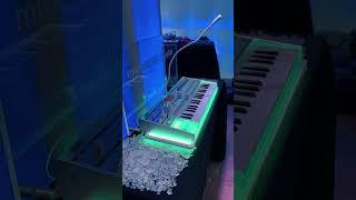 Is MicroKorg the GOAT? #korg #microkorg #synth #superbooth #moogaudio #shorts