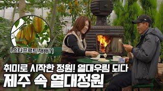 [ SUB ] 열대정원 Jeju's Tropical Garden | 정원의 발견 Wonders of Garden | KBS제주20240202 방송