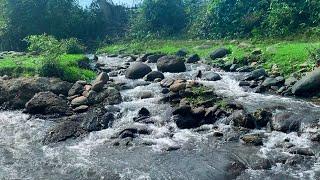 Poetic Nature - Stream Flowing Through Each Crevice of Rocks, Water Sound for Deep Sleep, Relaxing