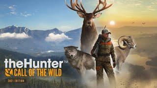 theHunter  Call of the Wild HUNTING A BEAR WITH THE 243