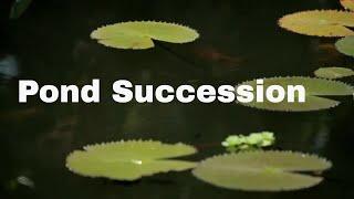 Pond Succession