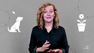 What is Deep Learning and What is it Used For?