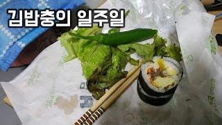 딱히 목표가 없는 인생의 장단점, 일주일 동안 김밥만 먹기 (자막)