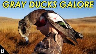 Gray Ducks GALORE! (Wigeon and Gadwall) | Nebraska Sandhills Duck Hunting 2019