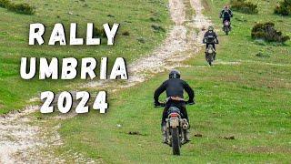 Mud and Glory at Rally Umbria 2024