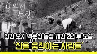 산간 오지 백운산 농장 개간 2년 후 모습 '산을 움직이는 사람들'