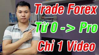 Đây Là Video DUY NHẤT Về Forex Bạn Cần Xem Từ Giờ Cho Tới Cuối Đời (Tâm Huyết 10 Năm Kinh Nghiệm)