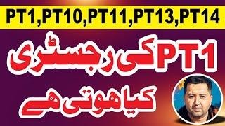 What is PT 1 REGISTRY - Property Tax Fraud in Pakistan -