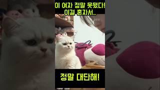 이 여자 정말 진짜 매정하네!!!