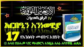 ⑰ የእንስሳት መብትና ማሳመር ስለመታዘዙ | አርበዒን አን-ነወዊያ | ﺍﻟﺤﺪﻳﺚ ﺍﻟﺴﺎﺑﻊ ﻋﺸﺮ ﺍﻟﺮﻓﻖ ﺑﺎﻟﺤﻴﻮﺍن አስራ ሰባተኛ ሐዲስ ለእንስሳት ማዘን