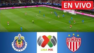  EN VIVO : Chivas vs Necaxa | Liga MX Apertura 2024/25 | Partido en vivo hoy