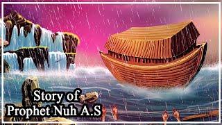 Story of Prophet Nuh (A.S) | History Of Islam | TG1O | C1 Kids