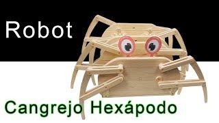 Robot Crab How to make Robot Robot Hexapod