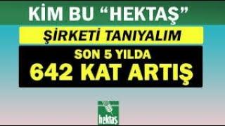 HEKTAŞ İÇİN 2025 RAPORU AÇIKLANDI: HEKTS'TA, 20 TL FİYATINA YÜKSELİŞ + YENİ BEDELLİ TARİHİBİLANÇO?