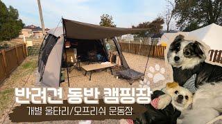 [vlog] 댕댕이천국!!!반려견전용 캠핑장 