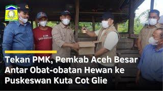 Cegah PMK, Pemkab Aceh Besar Antar Obat-obatan Hewan