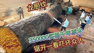 花350,000买根直径1.8米的千年原木！锯开竟是龙胆纹，该用来做什么？「老蒋根雕」