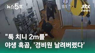 "툭 치니 2m를…" 리조트에 침입한 야생 흑곰, '경비원 날려버렸다' #쇼츠트랙 / JTBC 뉴스5후