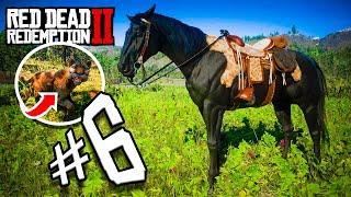 EQUITAÇÃO: UMA SELA PRO SOMBRA! CAÇAMOS A PANTERA - RED DEAD REDEMPTION 2