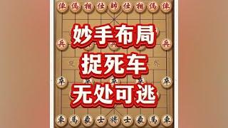 妙手布局，捉死车#喜欢象棋关注我 #象棋思路与技巧 #象棋游戏