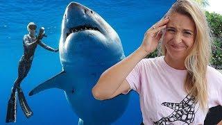 Should Ocean Ramsey touch Great White Sharks?