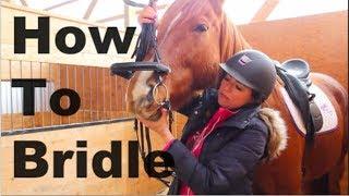 How To Bridle a Horse