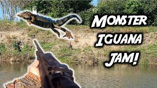 IGUANA HUNTING in South Florida: catch and clean (Swamp N Stomp ep. #48)