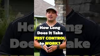 How Long Does Pest Control Take to Work?