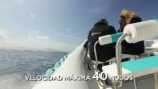 SEMIRRIGIDA TURISMO NARWHAL SP-800