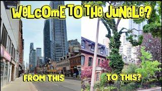 Is Toronto A Concrete Jungle? A Walk Along Several Heavily Treed Yet Dense Downtown Side Streets