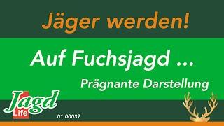 Erlebte Jagd-  Sehprobe DVD Video Auf Fuchsjagd  http://www.hundundjagdshop.de