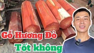 Cách nhận biết gỗ Hương Đỏ , Gỗ HƯƠNG ĐỎ NAM PHI có tốt không |Đồ gỗ Gia Vũ
