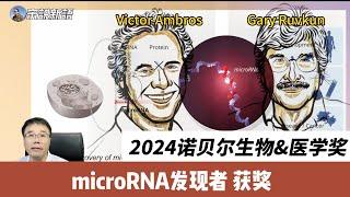 The Mighty Power of Tiny RNA: The Story Behind the 2024 Nobel Prize in Medicine