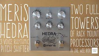 #8 Meris - Hedra