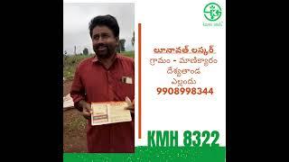 KMH8322 Kaveri Seeds #maizecultivation #kharifcrops #8322 #trending #trendingshorts #trendingstatus