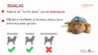 SegurosVeterinarios.com: Tipos de Seguros de Salud para Mascotas