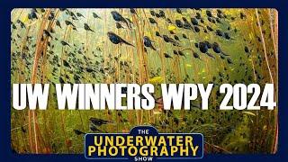 WPY Review of the underwater pictures in the 2024 Wildlife Photographer of the Year