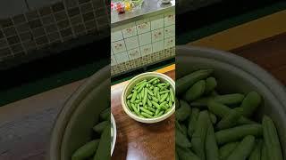텃밭에서 채취한 바질과 완두콩 요리 레시피 #설오스님