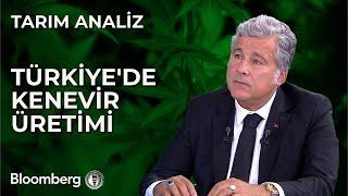 Tarım Analiz - Türkiye'de Kenevir Üretimi | 15 Kasım 2023