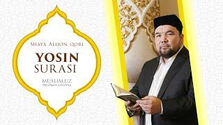 Yosin surasi | Shayx Alijon qori