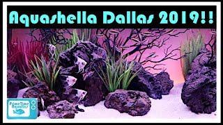 Aquashella Dallas 2019: Let's Look at All the Cool Fish!!