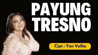 PAYUNG TRESNO | YAN VELLIA