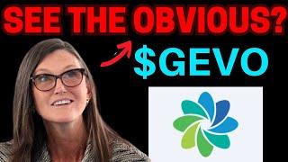 GEVO STOCK NEWS + Target! (update & alert) GEVO stock best stock trading brokers review