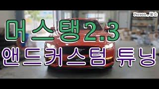 [Person_펄슨] 머스탱2 3앤드커스텀