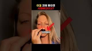 이걸 코에 꽂으면 시원해진다고?