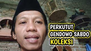 PERKUTUT GENDOWO SABDO KOLEKSI agung nur saladin @agungnursaladin