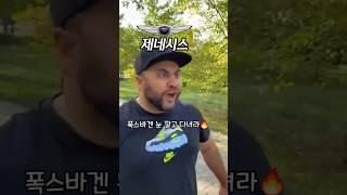 제네시스 VS 폭스바겐 어깨빵 서열 순위! G80 카푸어 최후.. #서열정리 #가오